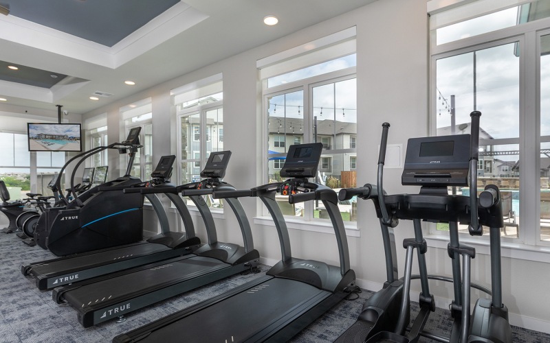 line of treadmills by windows